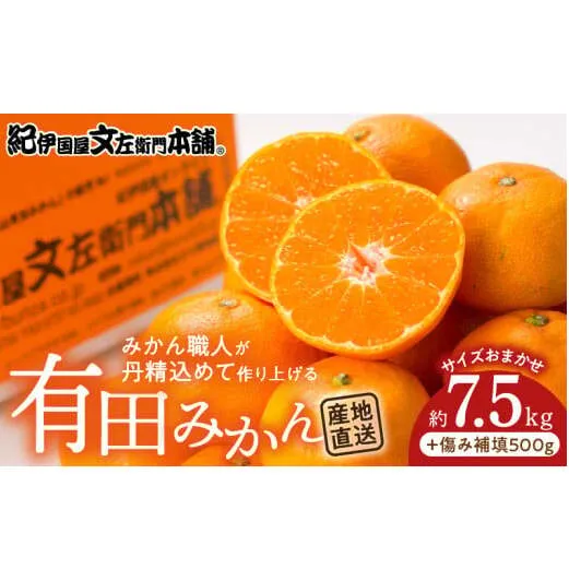 V7441_有田みかん約7.5kg(+傷み補填分500g)=合計8kg【サイズおまかせ】 / 産地直送 / 紀伊国屋文左衛門本舗（お届け日指定不可）