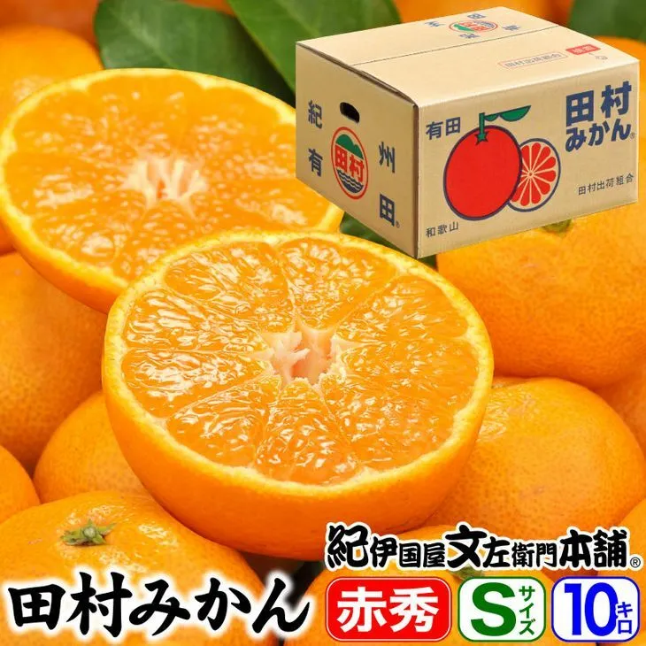 V7444_田村みかん／特選ギフト品10kg【Sサイズ】赤秀 / 紀州和歌山有田郡湯浅町田村地区産 / 最高級プレミアムブランドの田村ミカン / 紀伊国屋文左衛門本舗(お届け日指定不可)