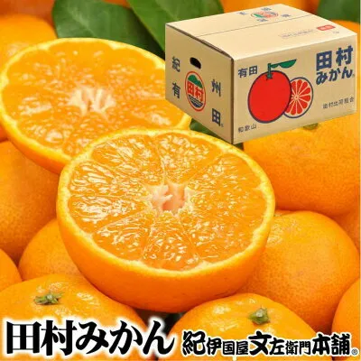 V7451_田村みかん／5kg秀品【大玉サイズ】/ 紀州和歌山有田郡湯浅町田村地区産 / 最高級プレミアムブランドの田村ミカン 
/ 紀伊国屋文左衛門本舗(お届け日指定不可)