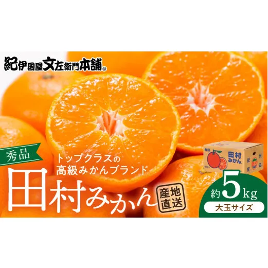 V7451_田村みかん／5kg秀品【大玉サイズ】/ 紀州和歌山有田郡湯浅町田村地区産 / 最高級プレミアムブランドの田村ミカン 
/ 紀伊国屋文左衛門本舗(お届け日指定不可)