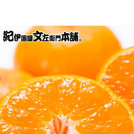 V7451_【2026年先行予約】田村みかん／5kg秀品【大玉サイズ】