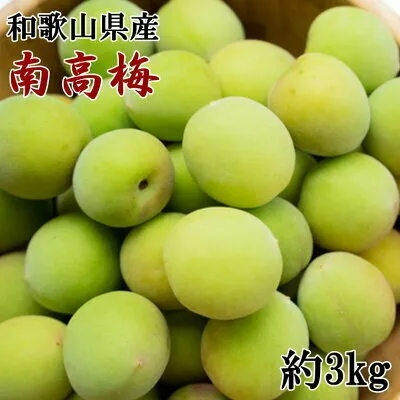 ZD6711_【先行予約】【和歌山名産】南高梅 約3kg（サイズ混合）秀品