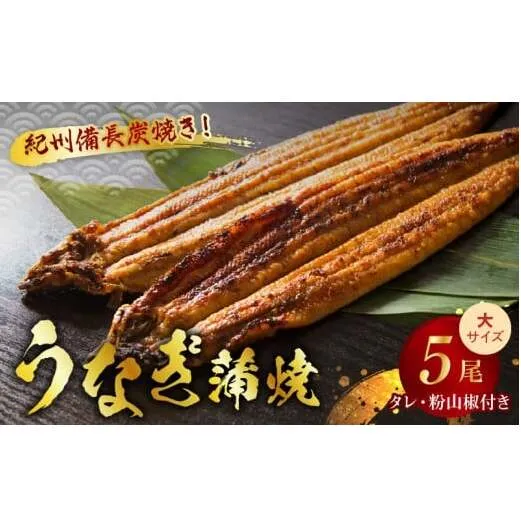 V7304_炭焼き うなぎ 蒲焼 大サイズ 5尾 セット（約150～199g×5尾）タレ・粉山椒付き　国産鰻　冷凍ウナギ　1尾ずつ真空パック　土用の丑の日　紀伊国屋文左衛門本舗
