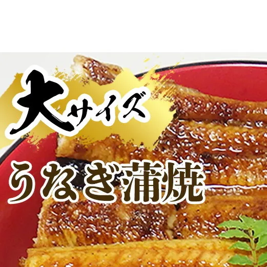 炭焼き うなぎ 蒲焼 大サイズ 5尾 セット（約150～199g×5尾）タレ・粉山椒付き　国産鰻　冷凍ウナギ　1尾ずつ真空パック　土用の丑の日　紀伊国屋文左衛門本舗_V7304