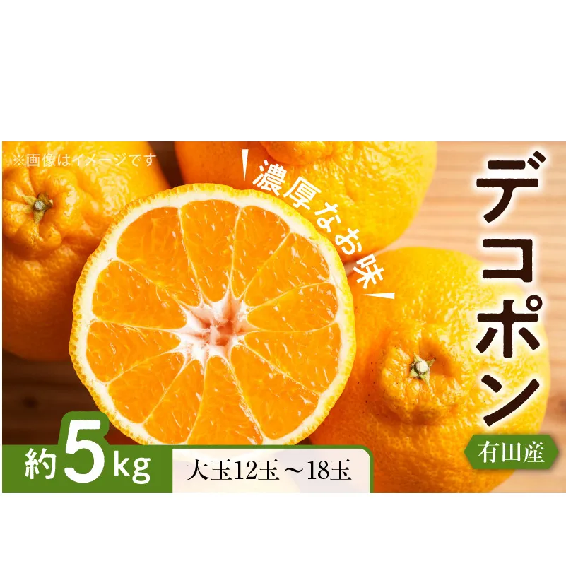 ZD7000_【お味濃厚】紀州有田産 の 大玉 デコポン 5kg (12玉～18玉入り・青秀以上)