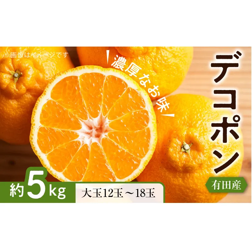 ZD7000_【お味濃厚】紀州有田産 の 大玉 デコポン 5kg (12玉～18玉入り・青秀以上)