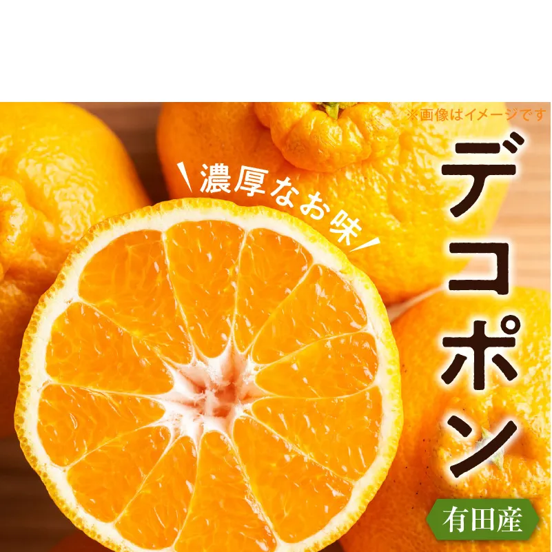 ZD7000_【2027年先行予約】【お味濃厚】紀州有田産 の 大玉 デコポン 5kg (12玉～18玉入り・青秀以上)
