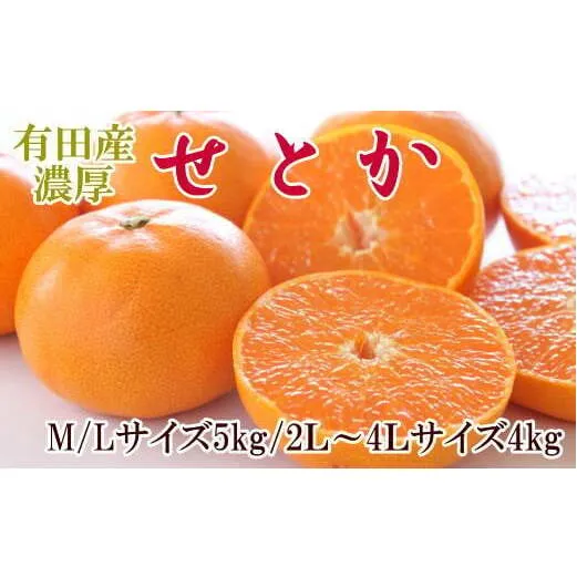 ZD7002_【2026年先行予約】一度は食べていただきたい 有田産のせとか 4～5kg（サイズおまかせ）
