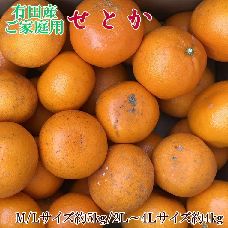 ZD7003_【2026年先行予約】一度は食べていただきたい 有田産のせとか 【訳あり 家庭用】 4kg～5kg (サイズおまかせ)
