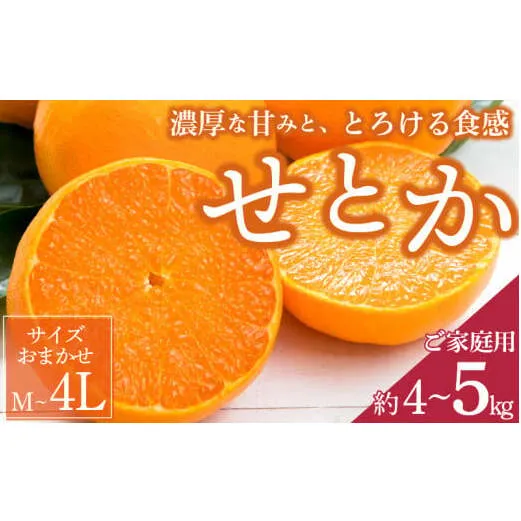 ZD7003_【2026年先行予約】一度は食べていただきたい 有田産のせとか 【訳あり 家庭用】 4kg～5kg (サイズおまかせ)