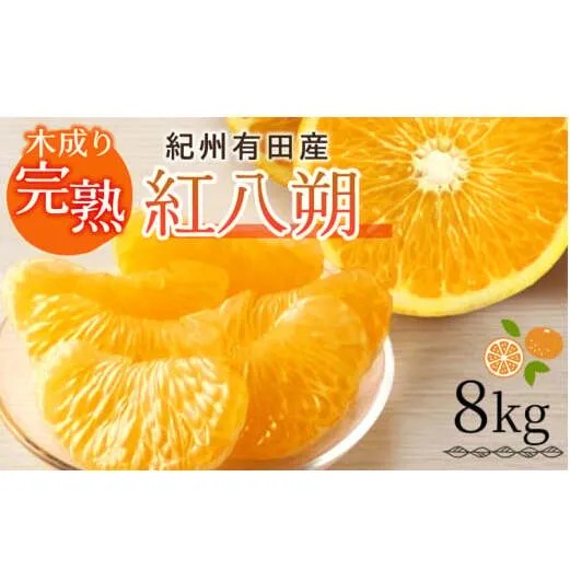G7105_【2026年先行予約】紀州有田産 木成り完熟 紅八朔 8kg