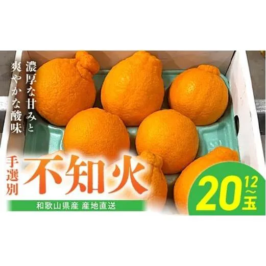 BL6104n_【2026年先行予約】和歌山県産 不知火 12玉～20玉