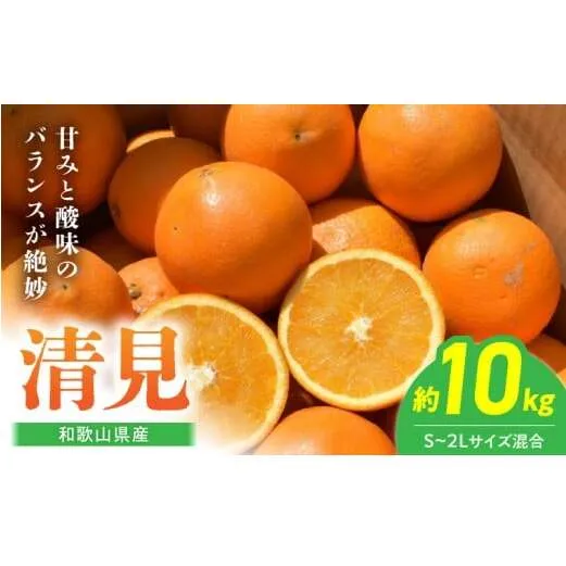 BL6105n_【2026年先行予約】和歌山県産 清見 10kgサイズ混合