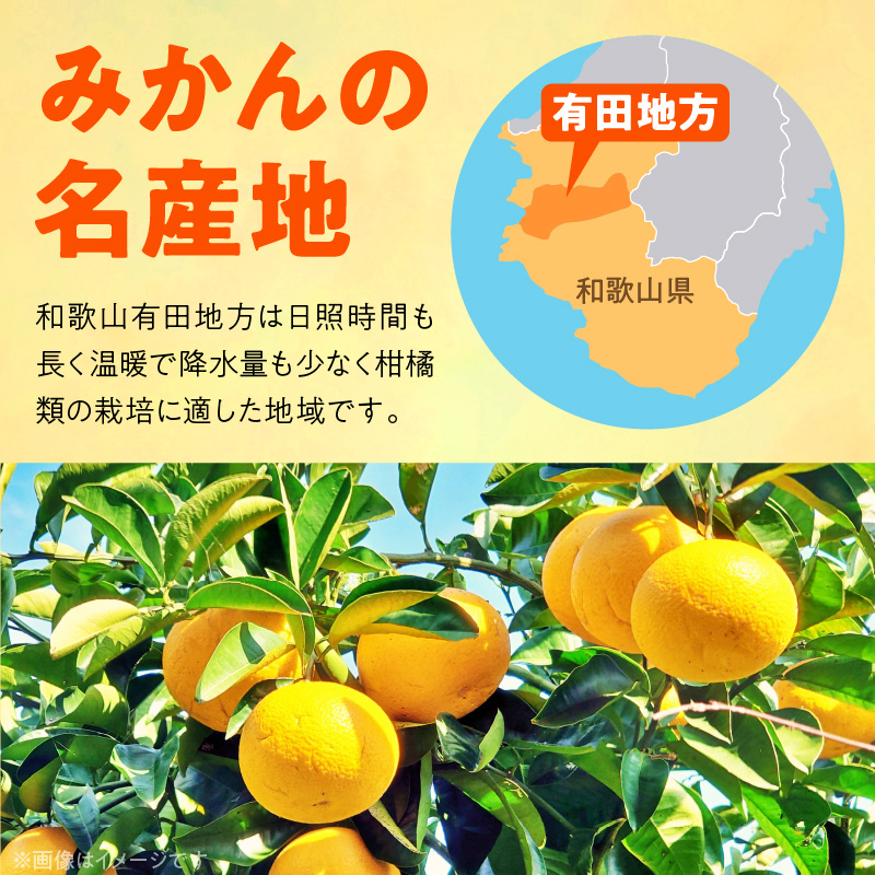 ふるさと納税 湯浅町 【秀品】和歌山有田のデコポン!約5kg ふるさと納税 湯浅町 【秀品】和歌山有田のデコポン!約5kg