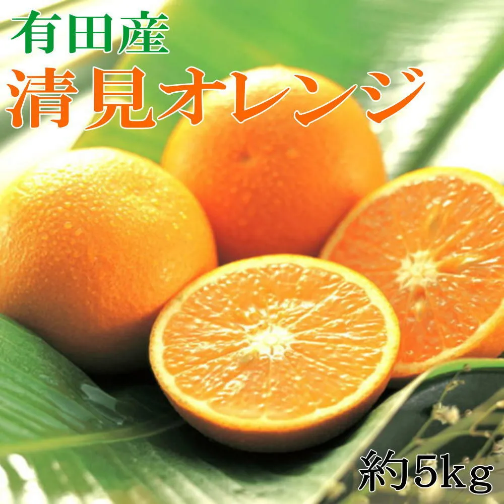 ZD7005_【2026年先行予約】【濃厚】有田産清見オレンジ約5kg（サイズおまかせ・青秀以上）