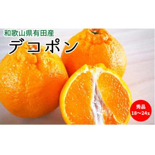 U6300_【2026年先行予約】デコポン 秀品 18玉～24玉 和歌山県有田産