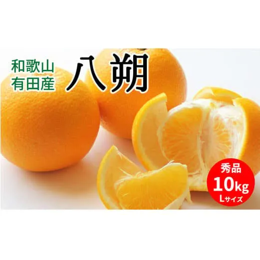 【2027年先行予約】八朔 秀品 約10kg Lサイズ 和歌山県有田産_U6301