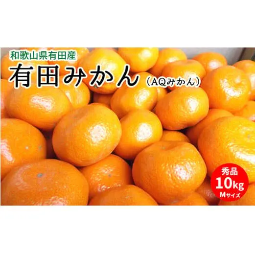 U6305_有田みかん（AQみかん）約10kg Mサイズ 和歌山県有田産
