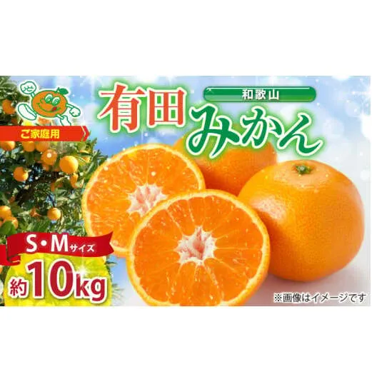 ZJ6077_ご家庭用　和歌山 有田みかん 約10kg (S、Mサイズ)【湯浅町】