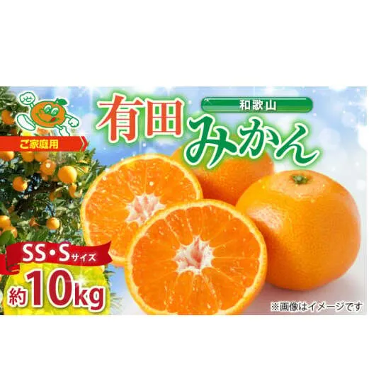 ZJ6098_【2025年先行予約】 有田みかん 訳あり 家庭用  約10kg (SS、Sサイズ)  みかん 温州みかん フルーツ 柑橘 果物 果実 ジューシー 人気 国産 食べ物 和歌山県 湯浅町 送料無料