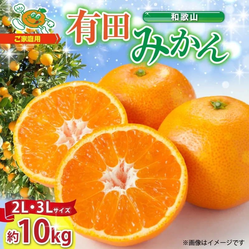【2026年先行予約】ご家庭用 和歌山 有田みかん 約10kg (2L、3Lサイズ)【湯浅町】_ZJ6079