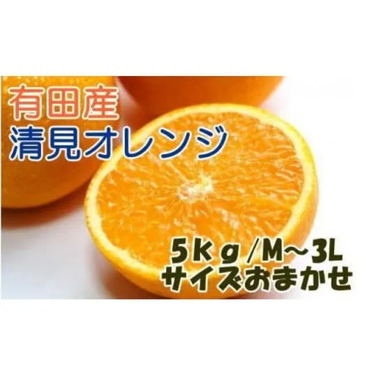 ZD6113n_【2026年先行予約】【産直】有田産清見オレンジ 約5kg (秀品サイズおまかせ)