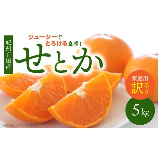 G7355_【2027年先行予約】とろける食感！ジューシー柑橘 せとか 5kg 【家庭用 訳あり】