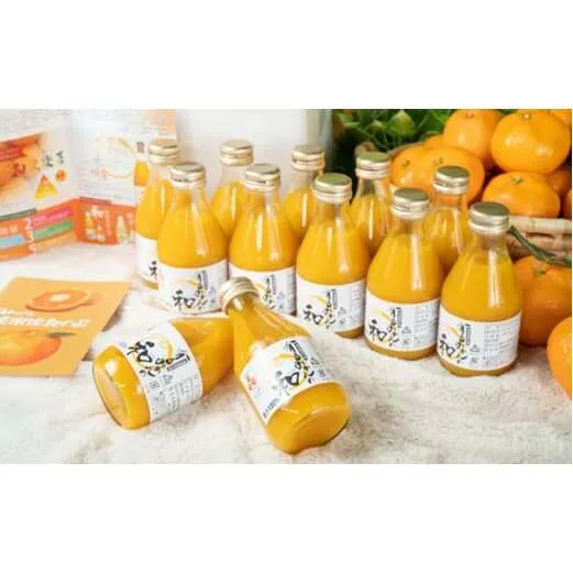 ZY6104n_果樹園紀の国 有田みかんの和 180ml 12本入