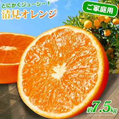 G7067_【2026年先行予約】紀州有田産 清見 オレンジ 7.5kg【家庭用 訳あり】