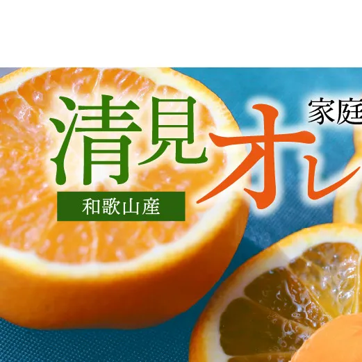 G7067_【2027年先行予約】紀州有田産 清見 オレンジ 7.5kg【家庭用 訳あり】