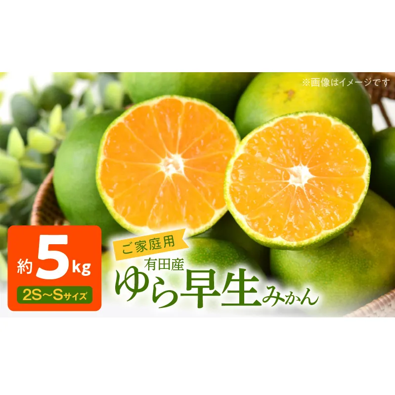 AT6217n_【2026年先行予約】有田みかん 約5kg ご家庭用 和歌山 ゆら早生 極早生 (SS、Sサイズ)【湯浅町】