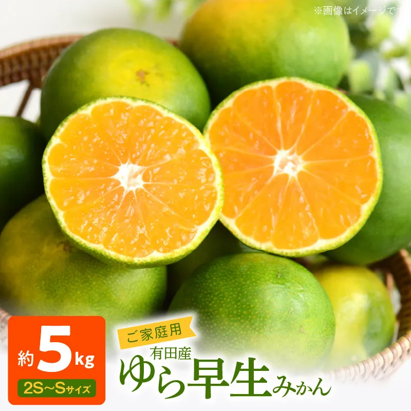 有田みかん 約5kg ご家庭用 和歌山 ゆら早生 極早生 (SS、Sサイズ)【湯浅町】_AT6217n