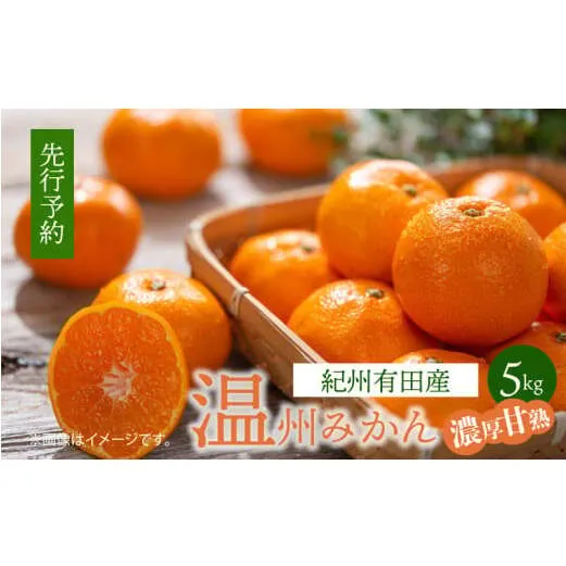 G7344_【2025年 先行予約】紀州 有田産 濃厚甘熟 温州みかん 5kg (小粒サイズ)