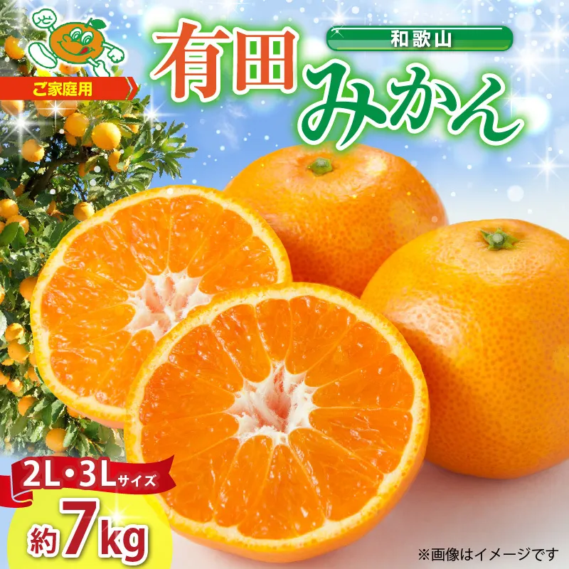ZJ6090_【ふるさと納税】【2025年先行予約】ご家庭用　和歌山 有田みかん 約7kg (2L、3Lサイズ)【湯浅町】