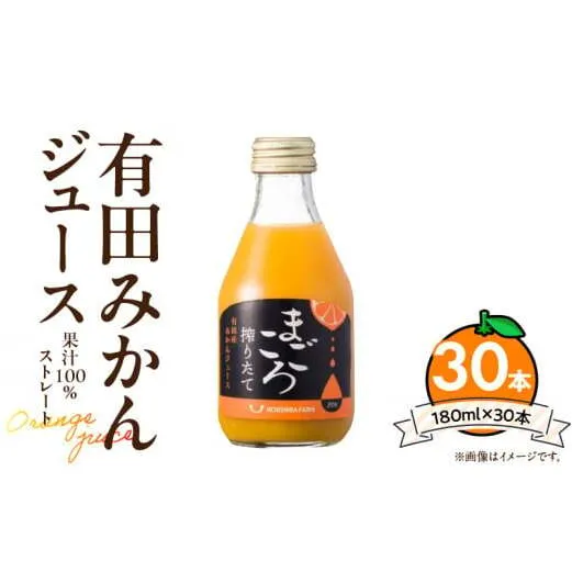 ZE6465_有田みかんジュース100％ 180ml×30本