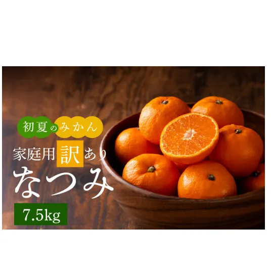 G7073_【2026年先行予約】初夏のみかん なつみ 7.5kg【家庭用 訳あり】【ミカン 蜜柑 柑橘 和歌山 有田 南津海】