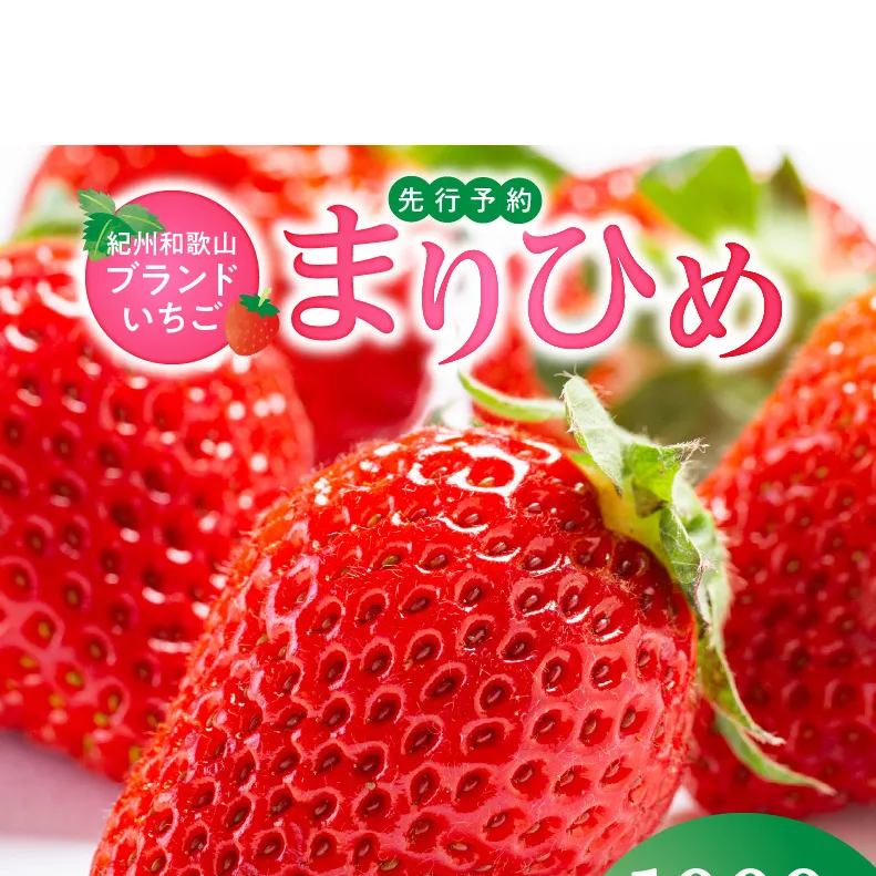 G7346_【2027年先行予約】 紀州和歌山ブランド いちご まりひめ 250g×4P