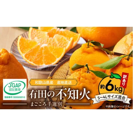 ZE6015n_【2026年先行予約】有田の不知火(しらぬひ) 【訳あり　家庭用】　6kg (S～4Lサイズ混合)まごころ手選別