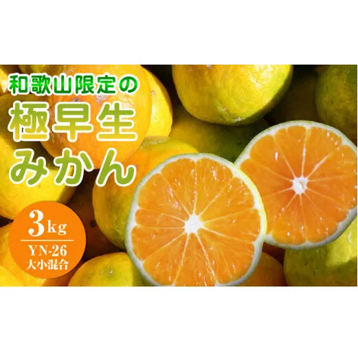 EA6104_和歌山県限定の極早生みかん 3kg (YN-26 大小混合)