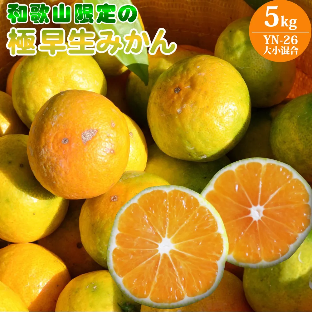 EA6105_和歌山県限定の極早生みかん 5kg (YN-26 大小混合)