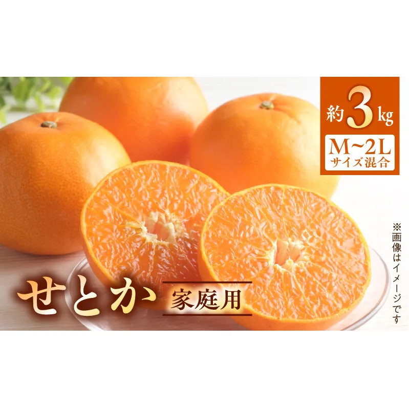 【2027年先行受付】せとか 家庭用 3kg М～2Lサイズ 混合_BF6047n