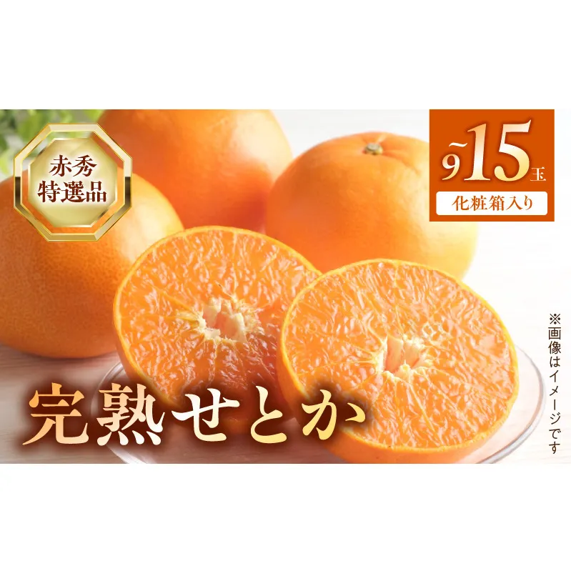 【2027年先行受付】完熟 せとか 赤秀 特選品 9～15玉 化粧箱_BF6048n