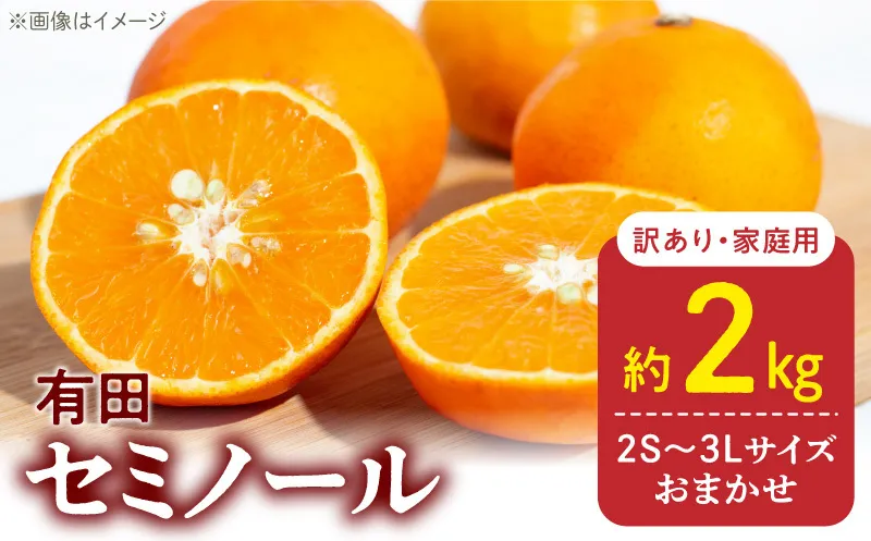 DZ6225_【2026年先行予約】訳あり 家庭用 セミノール  和歌山 有田  2S～3Lサイズ混合 2kg