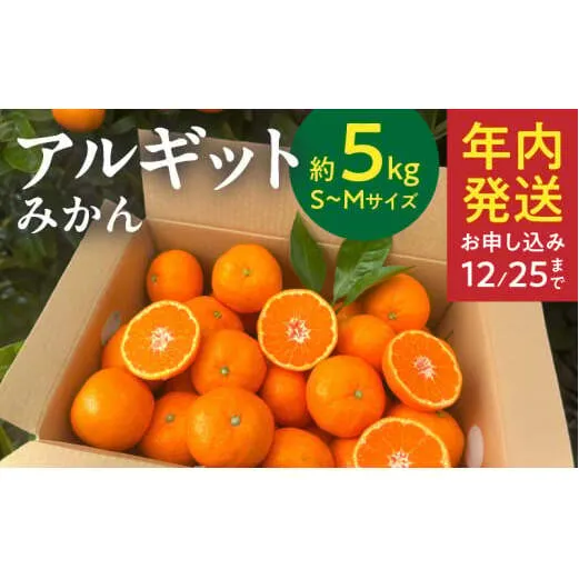 YA1002_完熟 アルギット みかん 5kg S～M サイズ 年内発送