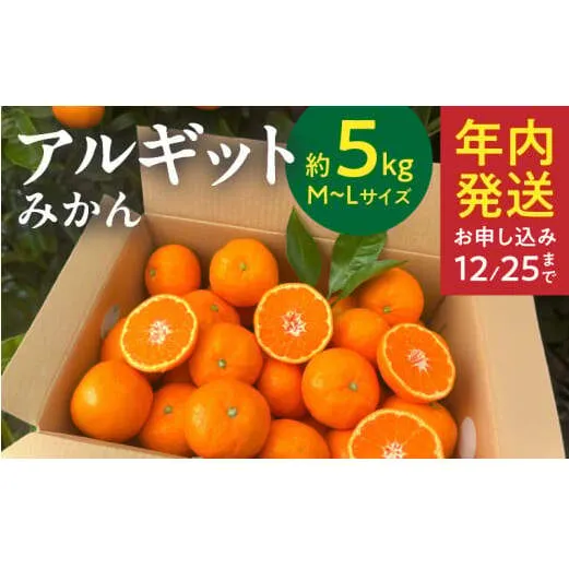 YA1003_完熟 アルギット みかん 5kg M～L サイズ
