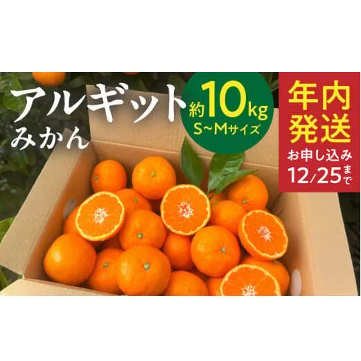 YA1004_完熟 アルギット みかん 10kg S～M サイズ