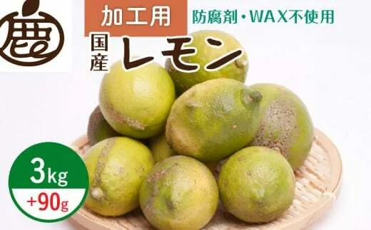 ZH7036_＜9月より発送＞加工用 黒潮レモン3kg+90g（傷み補償分）【和歌山有田産】【防腐剤・WAX不使用、安心の国産レモン】【訳ありレモン】【果汁用】