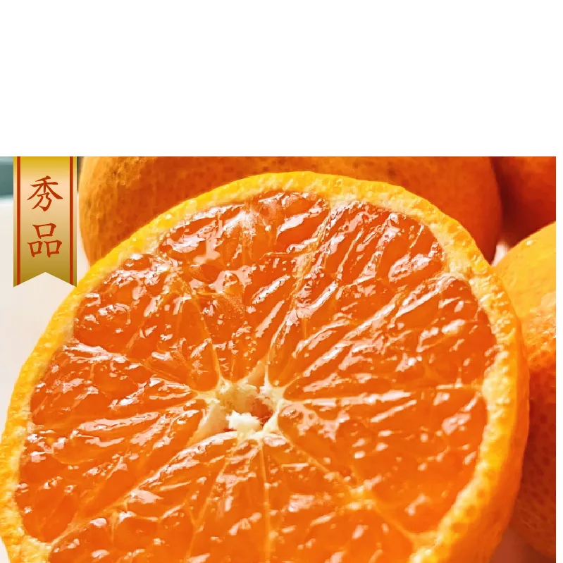 【2026年先行予約】プレミアムブランド 田村みかん Sサイズ 秀品  約10kg 和歌山県産 小玉 小さい 蜜柑 ミカン フルーツ 果物 ギフト お歳暮 完熟_AB7308