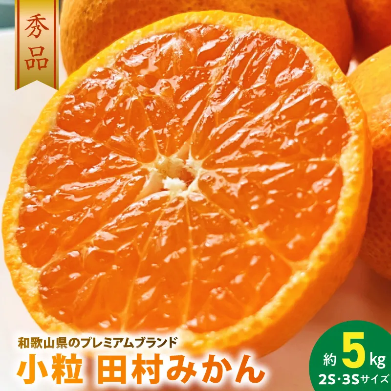 【2026年先行予約】小粒田村みかん 2S・3Sサイズ 秀品 約5kg _ 和歌山プレミアムブランドみかん 小玉 小さい 蜜柑 ミカン フルーツ 果物 ギフト お歳暮_AB7311