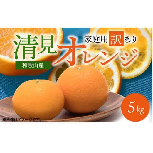 G7329_【2026年先行予約】紀州有田産 清見 オレンジ 5kg【家庭用 訳あり】タンゴール みかん 柑橘 フルーツ 果物 デザート 果実 お取り寄せ 和歌山県 湯浅町 有田 送料無料